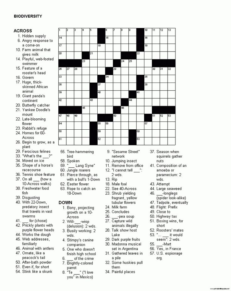 Free Printable Crosswords Mirroreyes Mary Crossword Puzzles