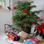 15 Of The Best Christmas Plants | Bbc Gardeners World Magazine With Regard To Popular Christmas House Plant Crossword