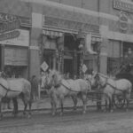 Before Trains And Autos, Stagecoaches Traversed The Midcoast With Regard To Horse Drawn Carriages Delivering Christmas Trees Crossword Clue