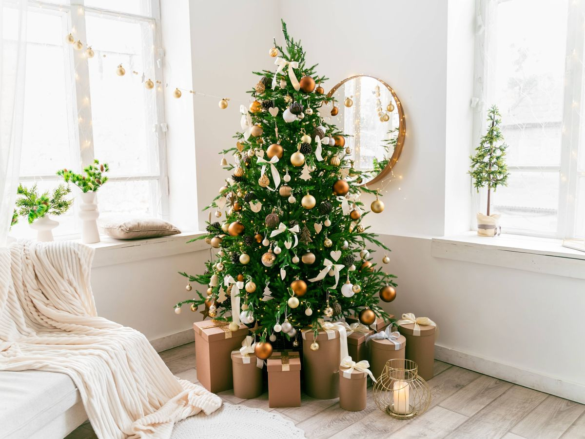 brits are just realising reason we put up christmas trees during for embellish like a christmas tree crossword Brits Are Just Realising Reason We Put Up Christmas Trees During for Embellish Like a Christmas Tree Crossword