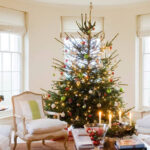 Do Not Put Your Christmas Tree In A Bay Window' This Year Warning For Christmas Tree Trim Crossword