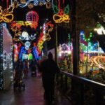 Five Sisters Zoo Will Flip The Switch On Christmas Lights Regarding Christmas Light Locale Crossword