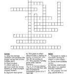 Holiday Plants And Flowers Crossword   Wordmint Pertaining To Christmas Plant Crossword Clue