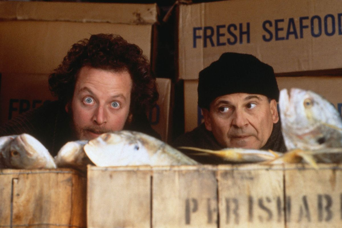 home alone villain unrecognisable 34 years after christmas film in christmas story villain crossword Home Alone Villain Unrecognisable 34 Years After Christmas Film in Christmas Story Villain Crossword