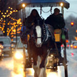 Horse Drawn Rides Delight With Regard To Horse Drawn Carriages Delivering Christmas Trees Crossword