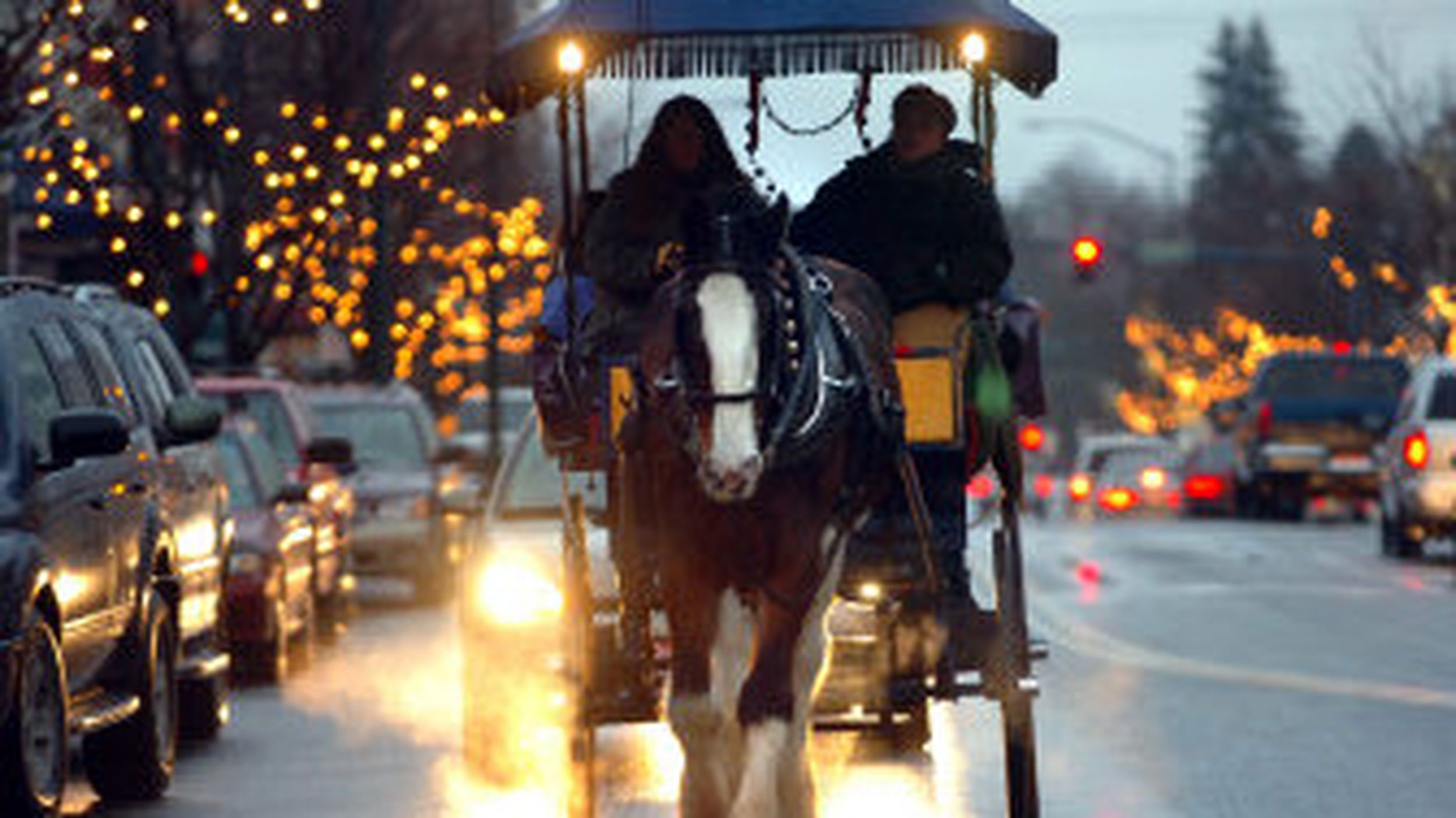 horse drawn rides delight with regard to horse drawn carriages delivering christmas trees crossword Horse-Drawn Rides Delight with regard to Horse Drawn Carriages Delivering Christmas Trees Crossword