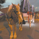 Km Herald 11 16 22Community First Media   Issuu In Horse Drawn Carriages Delivering Christmas Trees Crossword Clue