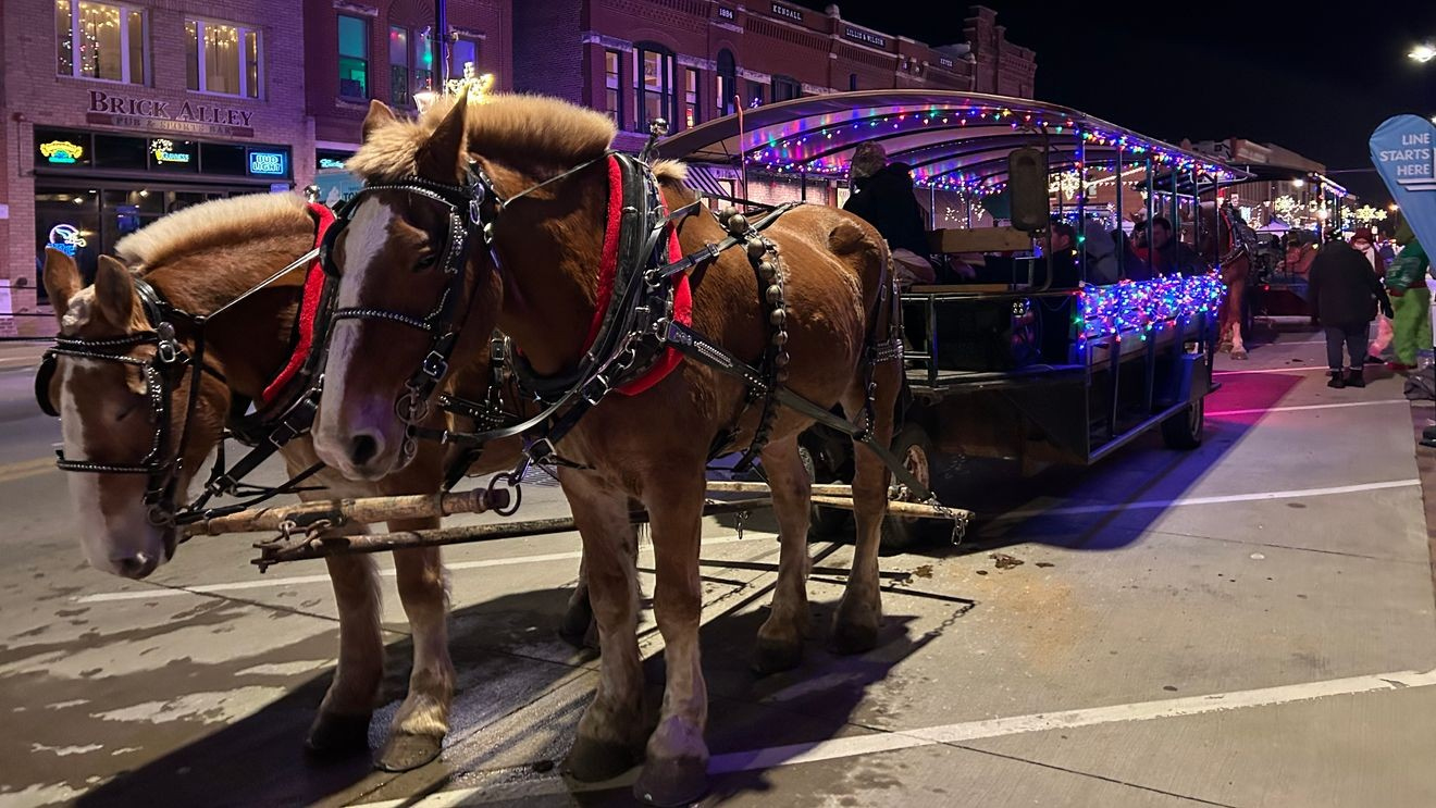 Marion&amp;#039;S Christmas In The Park And Peppermint Walk To Return Dec. 5 inside Horse Drawn Carriages Delivering Christmas Trees Crossword Clue
