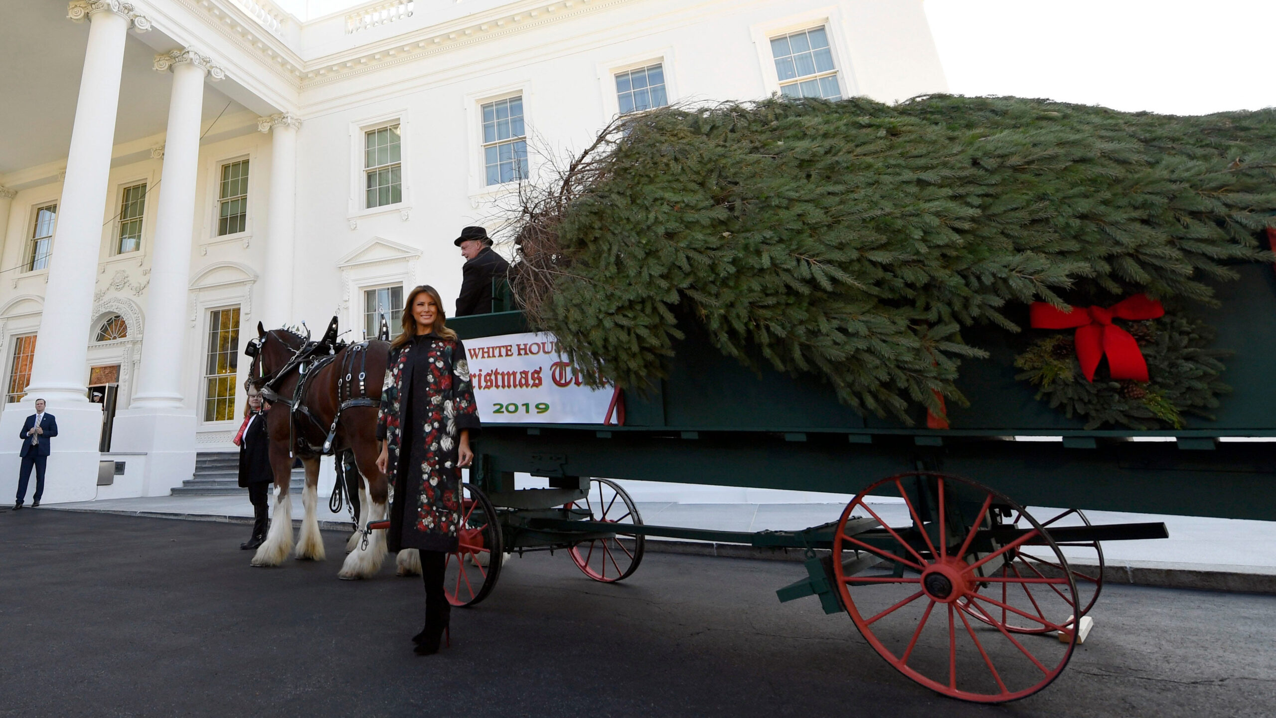melania trump welcomes christmas tree to white house fox news within horse drawn carriages delivering christmas trees crossword scaled Melania Trump Welcomes Christmas Tree To White House | Fox News within Horse Drawn Carriages Delivering Christmas Trees Crossword