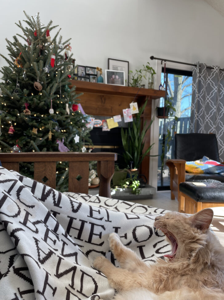 Christmas Baubles Often Nyt Crossword Clue