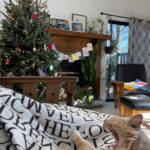 Rex Parker Does The Nyt Crossword Puzzle: Hungarian Violinist Within Gunk On A Christmas Tree Crossword