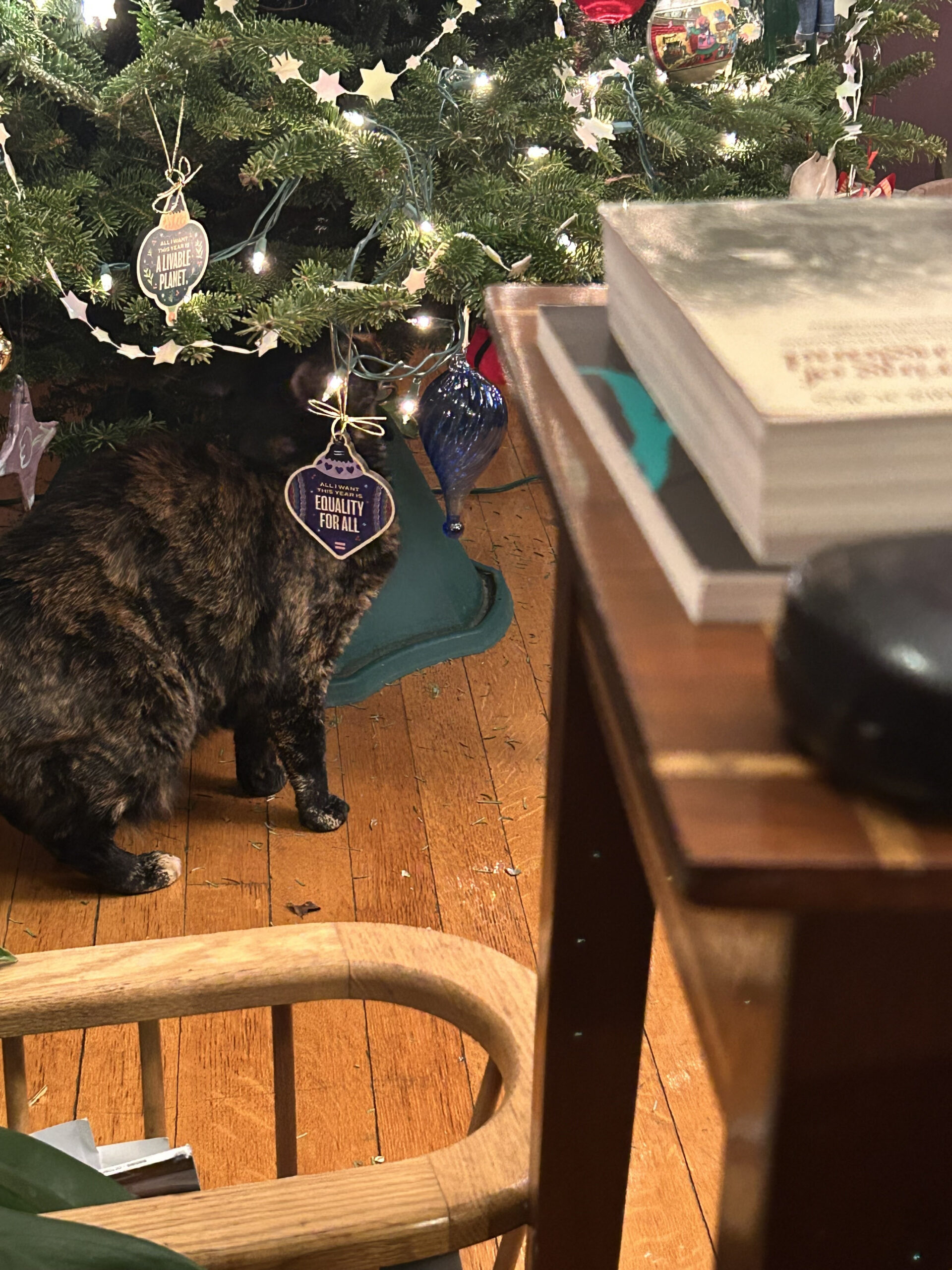 rex parker does the nyt crossword puzzle infamous bushranger with regard to gunk on a christmas tree crossword scaled Rex Parker Does The Nyt Crossword Puzzle: Infamous Bushranger with regard to Gunk on a Christmas Tree Crossword