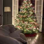 Rex Parker Does The Nyt Crossword Puzzle: Stiff Bristle Inside Christmas Centerpiece Nyt Crossword Clue