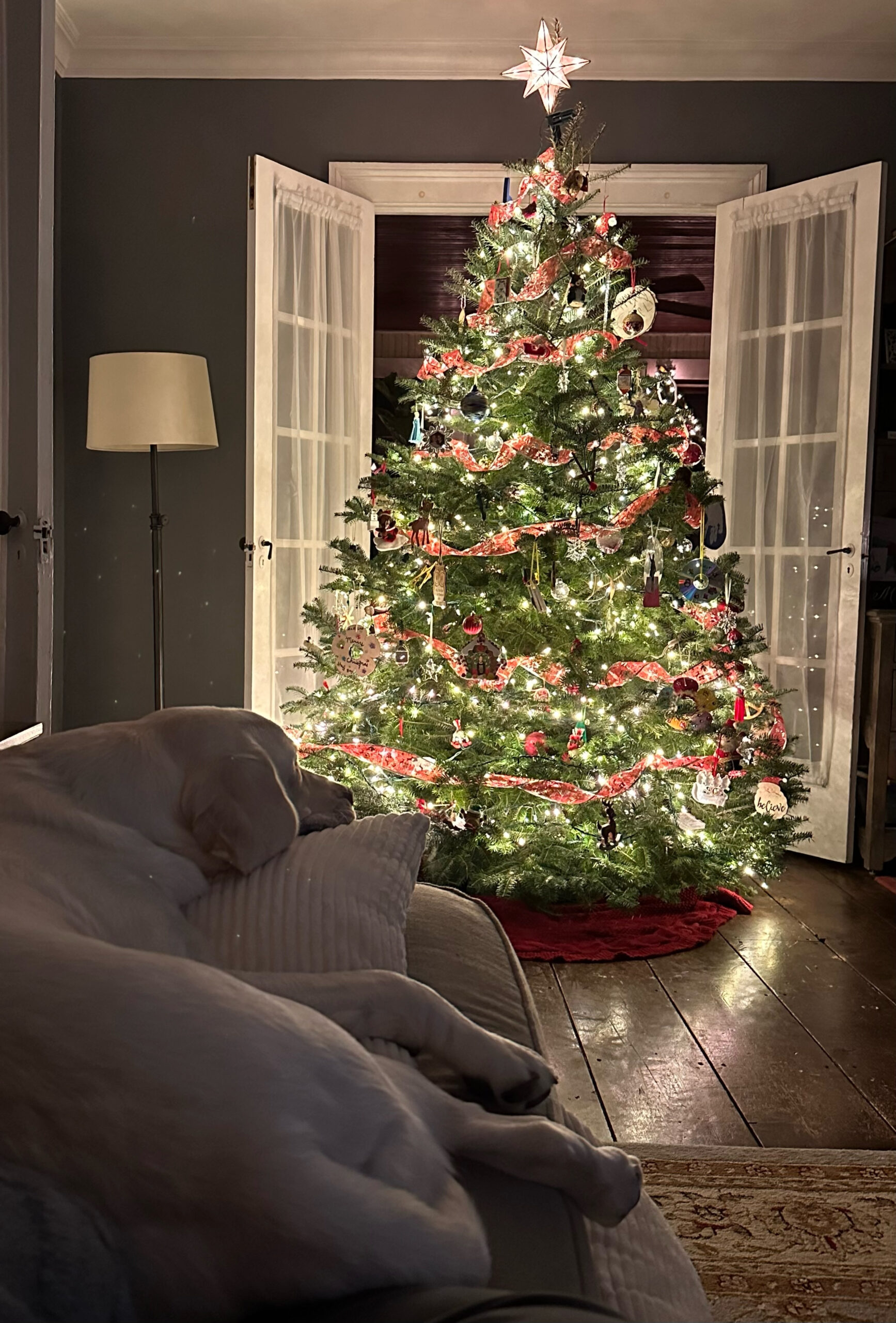 rex parker does the nyt crossword puzzle stiff bristle inside christmas centerpiece nyt crossword clue scaled Rex Parker Does The Nyt Crossword Puzzle: Stiff Bristle inside Christmas Centerpiece Nyt Crossword Clue