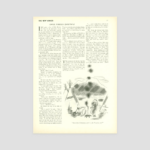 Simple Foreign Christmas | The New Yorker Regarding Traditional Christmas Sentiment Crossword