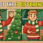 Spot The Difference: Within 9 Seconds Spot The 3 Differences In Inside Spot For Some Christmas Decorations Crossword