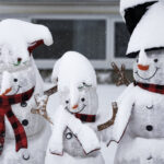 Storm Moving Into Northern Ontario, Quebec To Bring Strong Winds Inside Christmas In Cremona Crossword