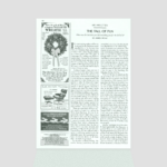 The Fall Of Fun | The New Yorker Throughout On Christmas In 800 Ad Crossword Clue