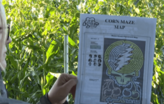Traverse City'S Jacobs Farm Unveils Grateful Dead-Themed Corn Maze intended for Emmet Band Christmas Daily Themed Crossword