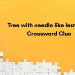 Tree With Needle Like Leaves Crossword Clue Irish Daily Mail Quick Pertaining To Christmas Conifer Crossword Clue
