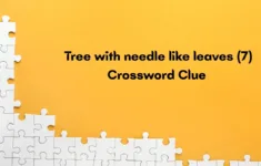 Tree With Needle Like Leaves Crossword Clue Irish Daily Mail Quick pertaining to Christmas Conifer Crossword Clue