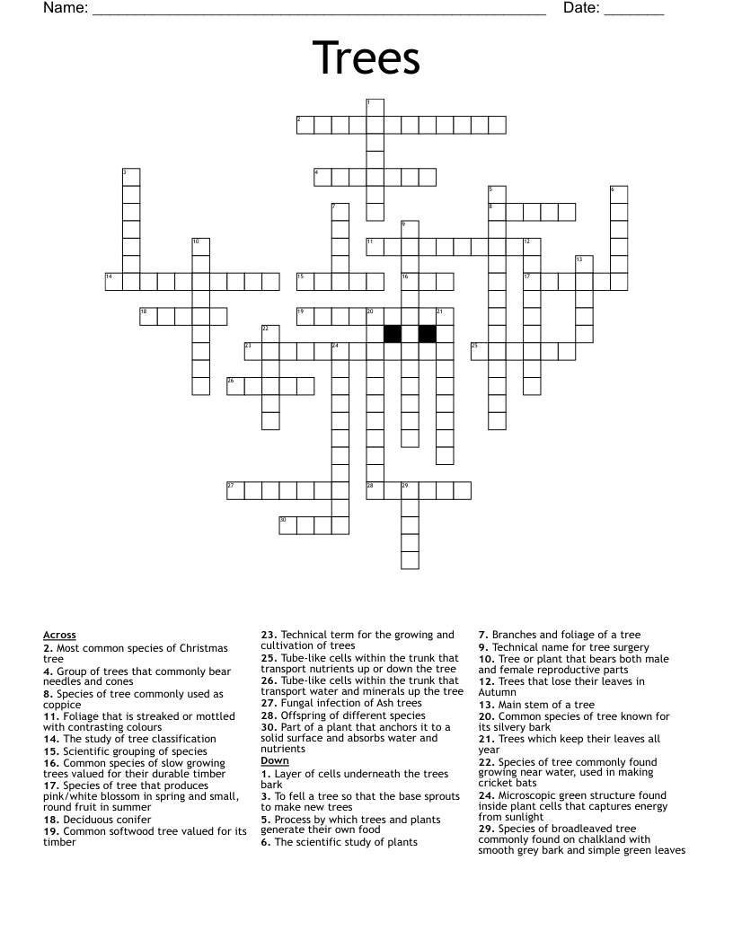 trees crossword wordmint intended for christmas tree choice crossword clue Trees Crossword - Wordmint intended for Christmas Tree Choice Crossword Clue
