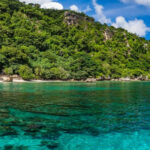 Where Is Christmas Island? | Christmas Island National Park Regarding Christmas Islands Closest Neighbor Crossword Clue